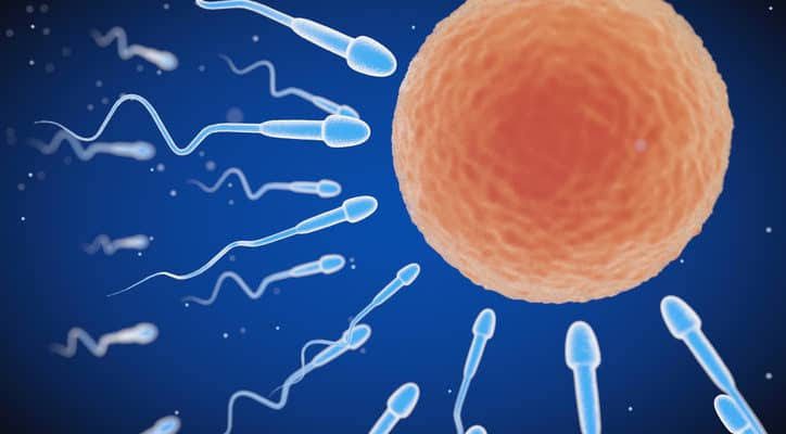 5 Fakta Menarik Tentang Mengenal Proses Reproduksi Manusia: Dari Sperma hingga Bayi Lahir