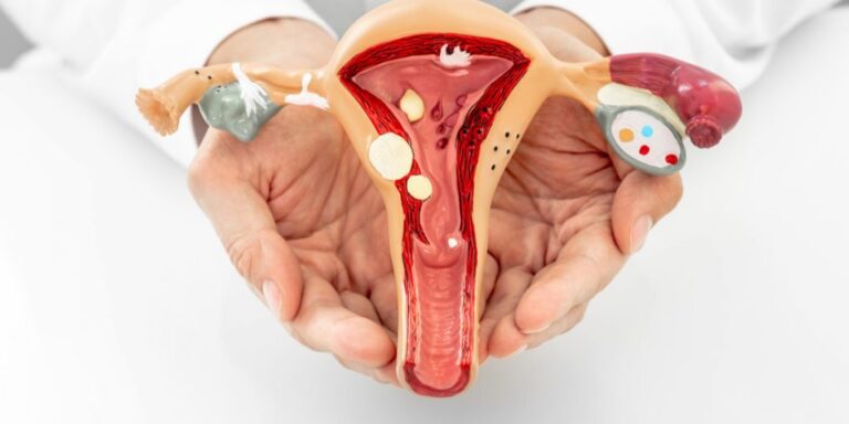 5 Fakta Menarik Tentang Mengenal Sistem Reproduksi Wanita: Organ Internal dan Eksternal